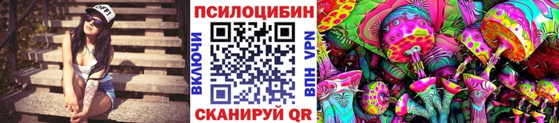 Псилоцибиновые грибы Psilocybe  hydra зеркало  Грязовец 